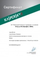Сертификат сертифицированного партнера ЗАО «Лаборатория Касперского» 2014